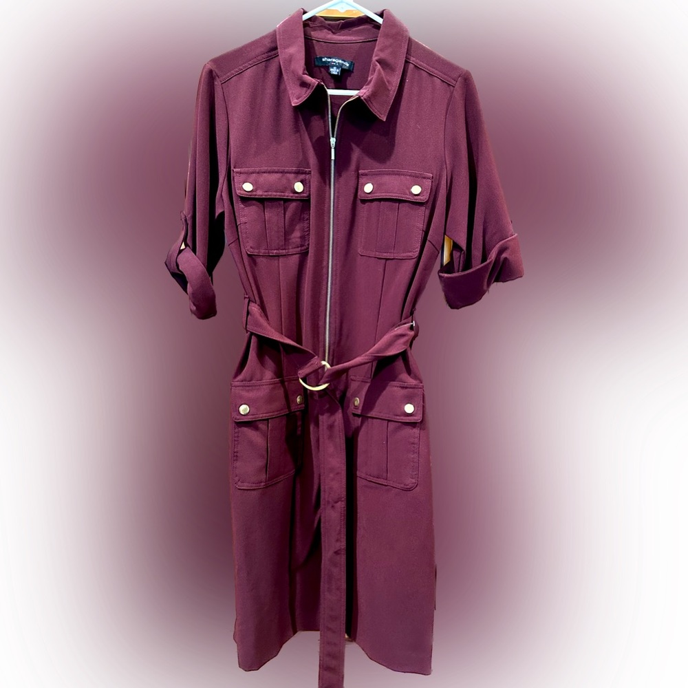 NWT Burgunday/Raisin Dress, size 10